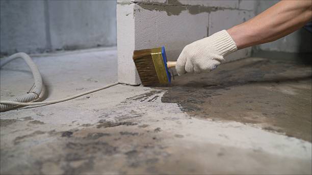 SJ Waterproofing Pros Waterproofing coverage map for Oak Harbor, OH and surrounding area